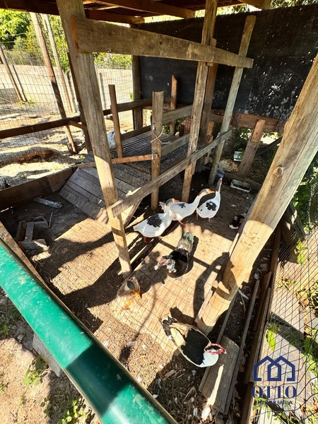 SÍTIO NA VARGEM PEQUENA, COM PISCINA, SAUNA, QUADRA ELAGO.: 67ª foto da galeria de imagens do imóvel
