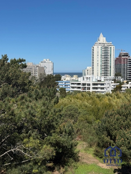 APARTAMENTO EM PUNTA DEL ESTE: 22ª foto da galeria de imagens do imóvel