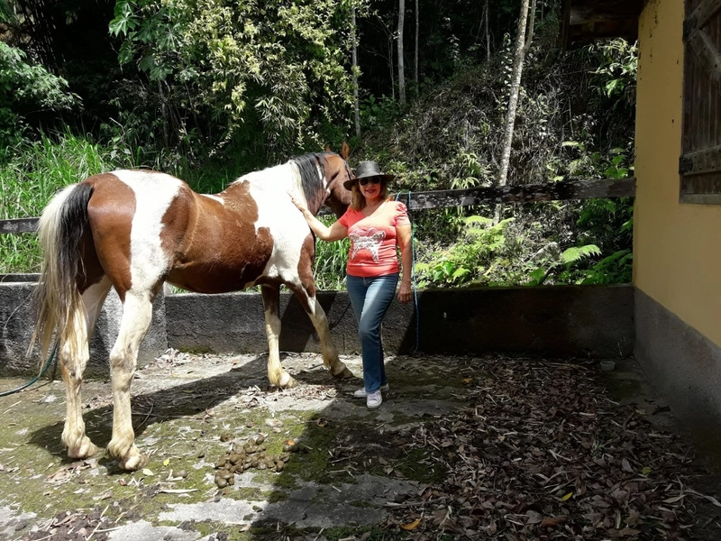Sitio e Haras: 49ª foto da galeria de imagens do imóvel