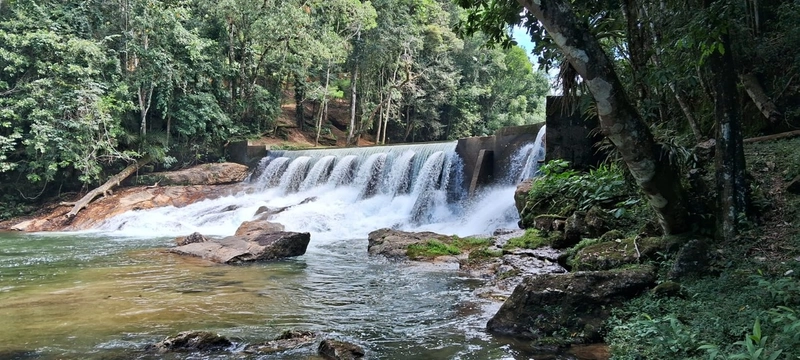 Sitio e Haras: 4ª foto da galeria de imagens do imóvel