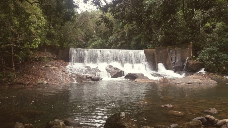 Sitio e Haras: 3ª foto da galeria de imagens do imóvel