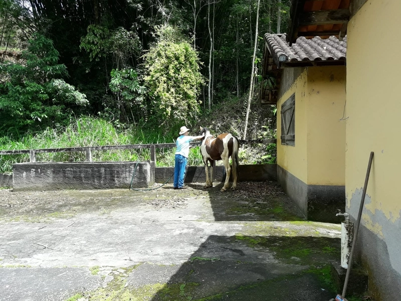 Sitio e Haras: 48ª foto da galeria de imagens do imóvel