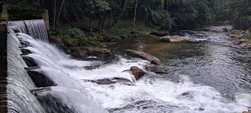 Sitio e Haras: 13ª foto da galeria de imagens do imóvel