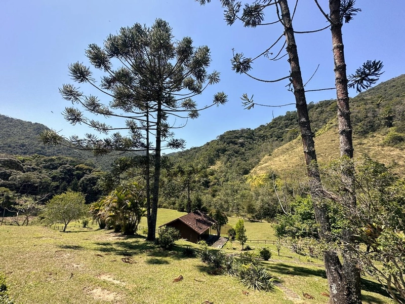 Sitio e Haras: 5ª foto da galeria de imagens do imóvel