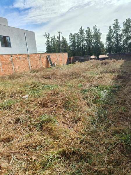 LOTE | 334 m²| BAIRRO GARÇAS: 1ª foto da galeria de imagens do imóvel