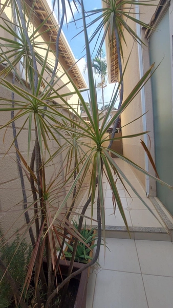 CASA EM CONDOMÍNIO À VENDA| 3 QUARTOS| 1 SUÍTE | 3 BANHEIROS | 2 VAGAS: 39ª foto da galeria de imagens do imóvel