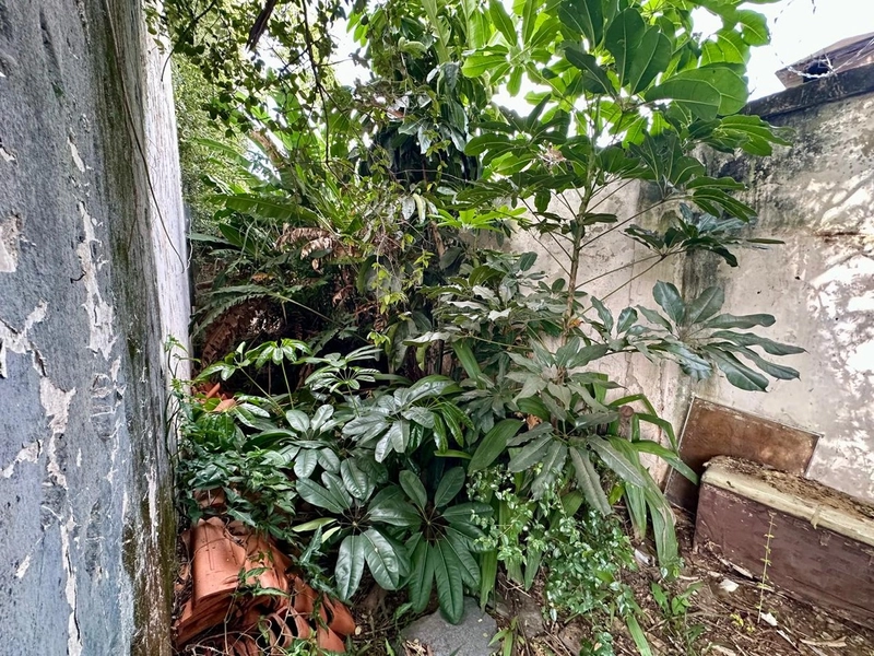 BELISSIMA CASA A VENDA NA REGIAO DO SÃO LUIZ / PAMPULHA: 16ª foto da galeria de imagens do imóvel