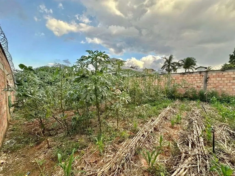 TERRENO/LOTE A VENDA | 480M² | BRAUNAS (PAMPULHA) | BELO HORIZONTE: 28ª foto da galeria de imagens do imóvel