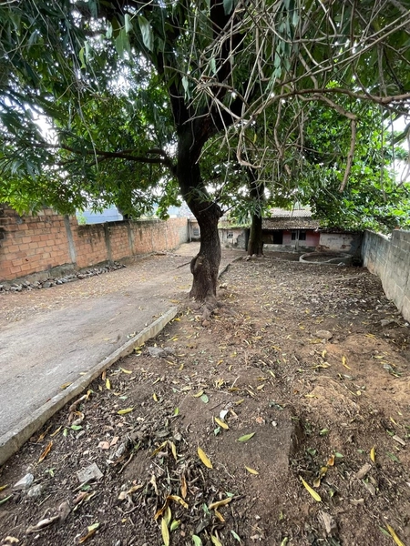 LOTE A VENDA NA REGIAO NOVO GLORIA: 11ª foto da galeria de imagens do imóvel