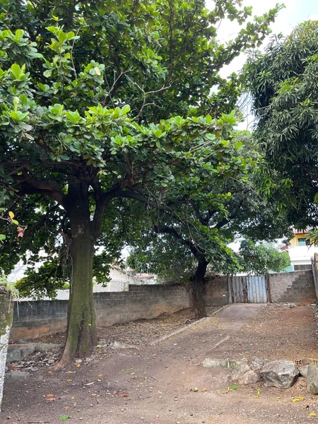 LOTE A VENDA NA REGIAO NOVO GLORIA: 8ª foto da galeria de imagens do imóvel
