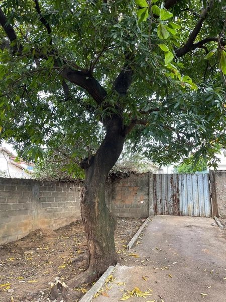 LOTE A VENDA NA REGIAO NOVO GLORIA: 6ª foto da galeria de imagens do imóvel