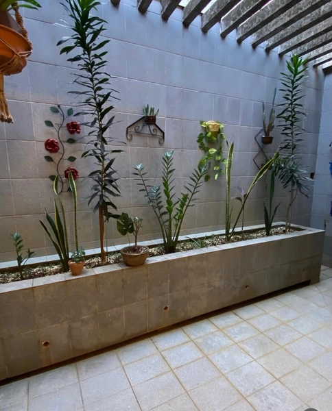 Casa Colonial com Excelente Potencial de Modernização: 23ª foto da galeria de imagens do imóvel