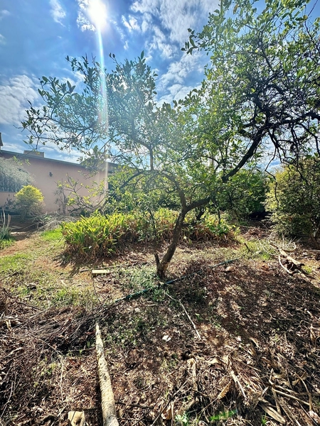 LOTE / TERRENO COM 800M² | NOVO PROGRESSO | APROVEITAMENTO 2.0: 3ª foto da galeria de imagens do imóvel