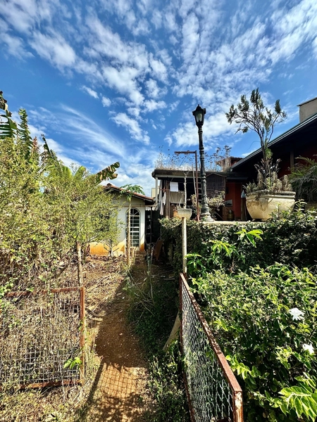 LOTE / TERRENO COM 800M² | NOVO PROGRESSO | APROVEITAMENTO 2.0: 1ª foto da galeria de imagens do imóvel