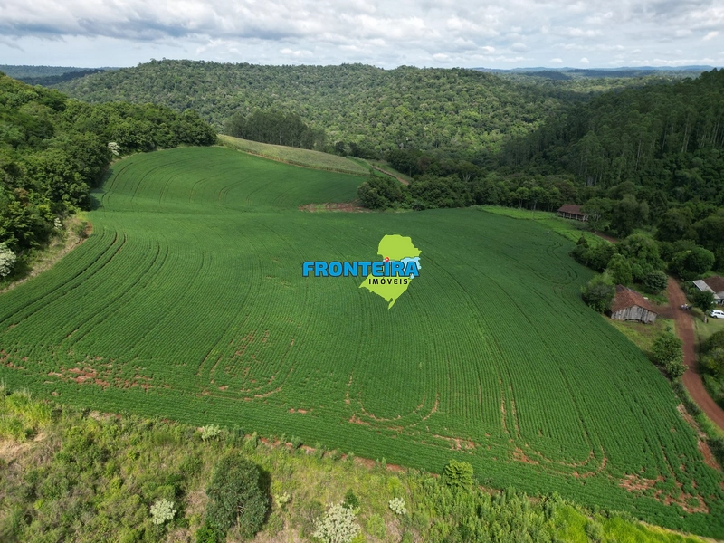 ÁREA RURAL ALTA VIABILIDADE: 5ª foto da galeria de imagens do imóvel