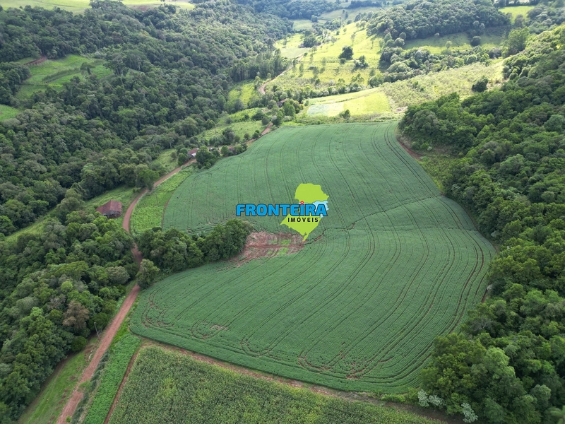 ÁREA RURAL ALTA VIABILIDADE: 4ª foto da galeria de imagens do imóvel