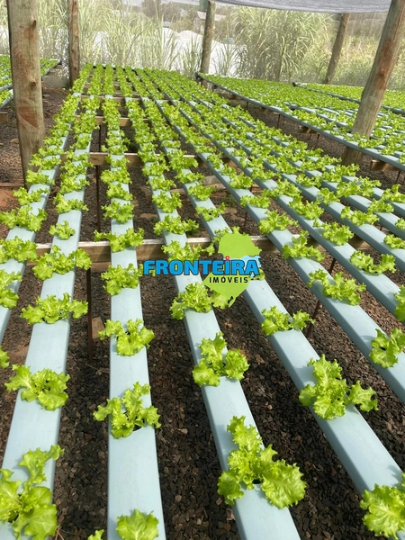 CONJUNTO DE HIDROPONIA: 9ª foto da galeria de imagens do imóvel