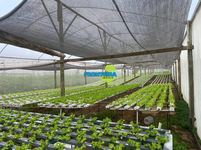 CONJUNTO DE HIDROPONIA: 1ª foto da galeria de imagens do imóvel