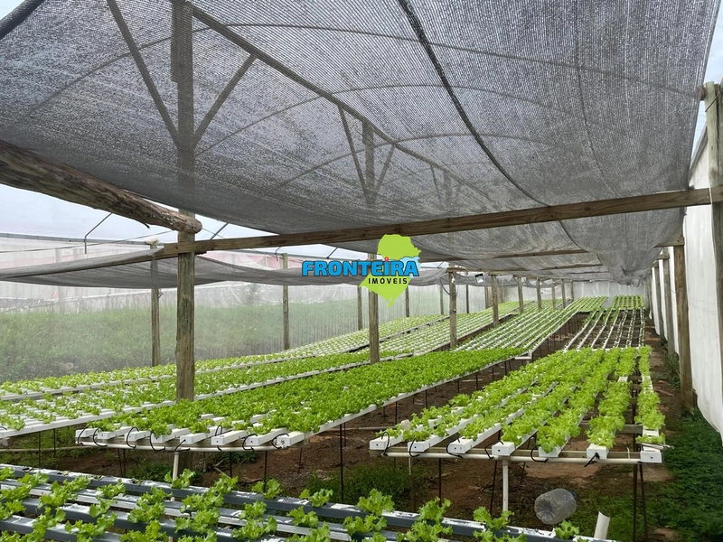 CONJUNTO DE HIDROPONIA: 12ª foto da galeria de imagens do imóvel