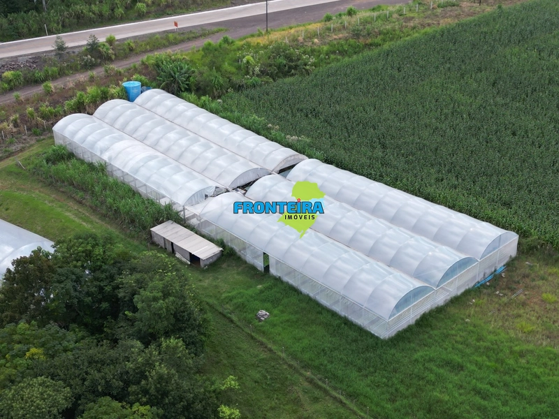 CONJUNTO DE HIDROPONIA: 6ª foto da galeria de imagens do imóvel