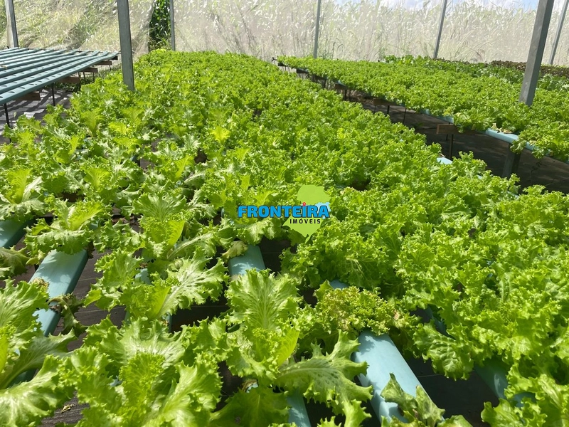 CONJUNTO DE HIDROPONIA: 8ª foto da galeria de imagens do imóvel