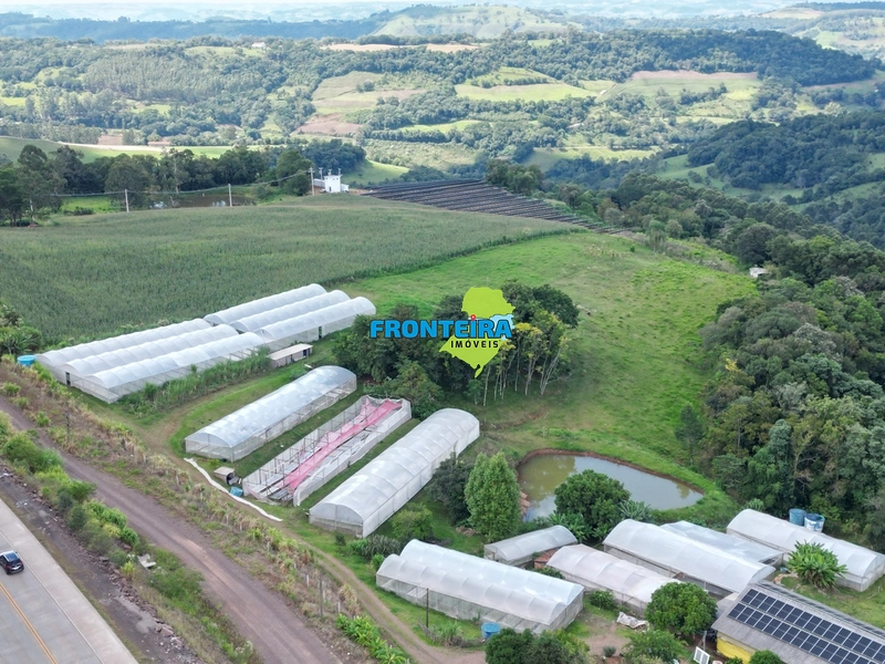 CONJUNTO DE HIDROPONIA: 4ª foto da galeria de imagens do imóvel