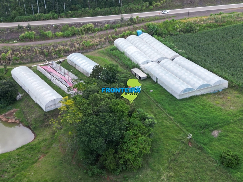 CONJUNTO DE HIDROPONIA: 5ª foto da galeria de imagens do imóvel