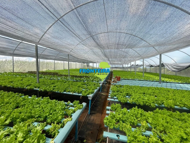 CONJUNTO DE HIDROPONIA: 7ª foto da galeria de imagens do imóvel