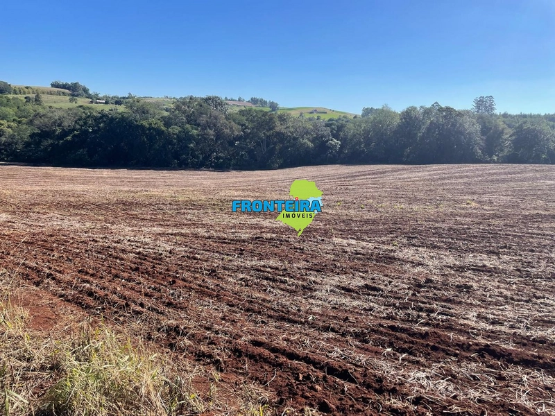 ÁREA RURAL EM REGIÃO NOBRE: 13ª foto da galeria de imagens do imóvel