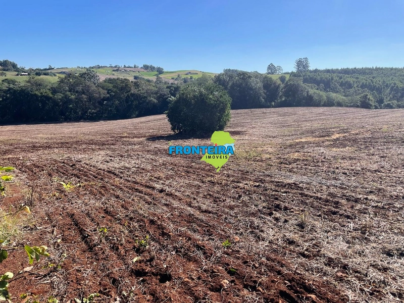 ÁREA RURAL EM REGIÃO NOBRE: 15ª foto da galeria de imagens do imóvel