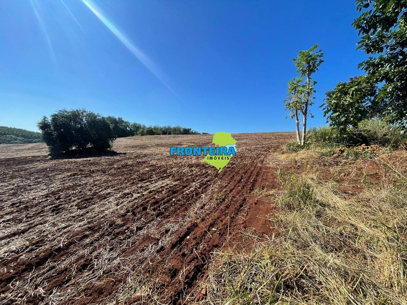 ÁREA RURAL EM REGIÃO NOBRE: 14ª foto da galeria de imagens do imóvel