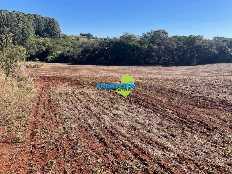 ÁREA RURAL EM REGIÃO NOBRE: 17ª foto da galeria de imagens do imóvel