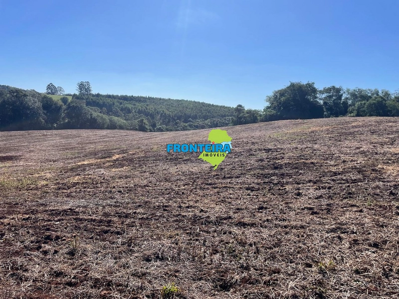 ÁREA RURAL EM REGIÃO NOBRE: 16ª foto da galeria de imagens do imóvel