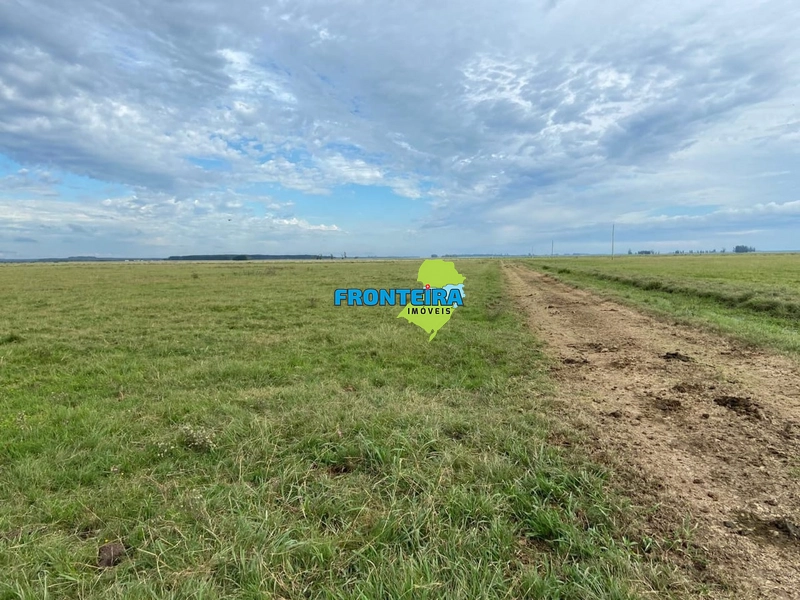 FAZENDA NO URUGUAI: 20ª foto da galeria de imagens do imóvel