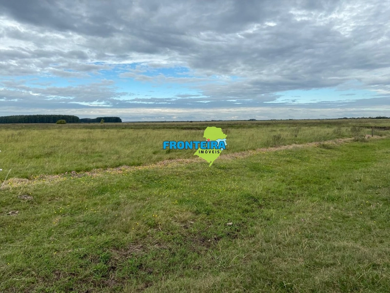 FAZENDA NO URUGUAI: 6ª foto da galeria de imagens do imóvel
