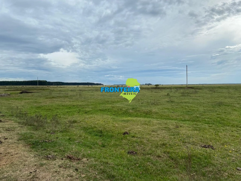 FAZENDA NO URUGUAI: 14ª foto da galeria de imagens do imóvel