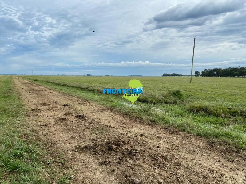 FAZENDA NO URUGUAI: 7ª foto da galeria de imagens do imóvel