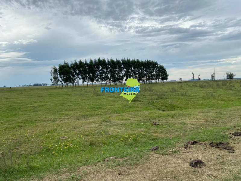 FAZENDA NO URUGUAI: 9ª foto da galeria de imagens do imóvel