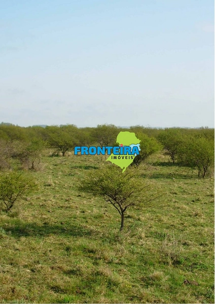 FAZENDA NO URUGUAI: 17ª foto da galeria de imagens do imóvel