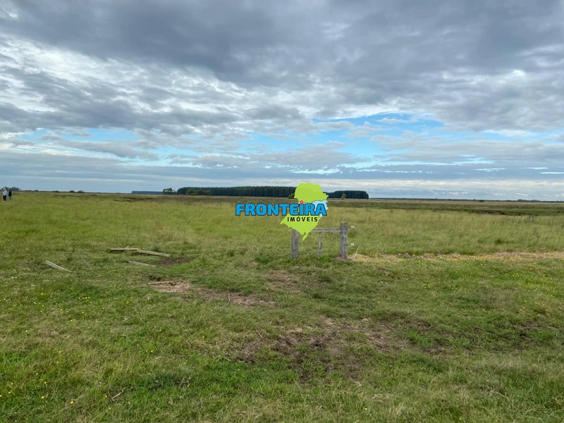FAZENDA NO URUGUAI: 3ª foto da galeria de imagens do imóvel