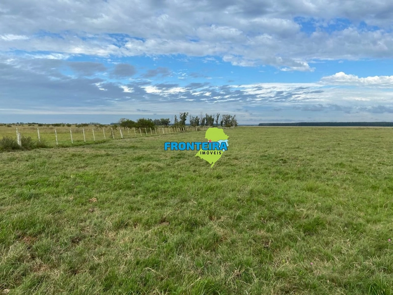 FAZENDA NO URUGUAI: 15ª foto da galeria de imagens do imóvel