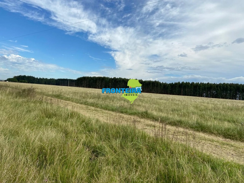 FAZENDA NO URUGUAI: 8ª foto da galeria de imagens do imóvel