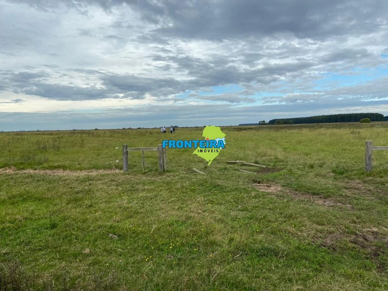 FAZENDA NO URUGUAI: 11ª foto da galeria de imagens do imóvel