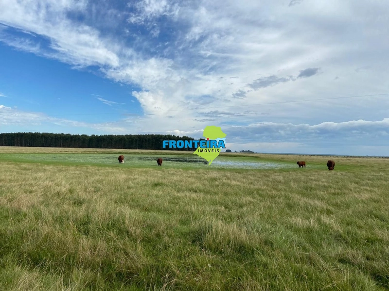 FAZENDA NO URUGUAI: 22ª foto da galeria de imagens do imóvel