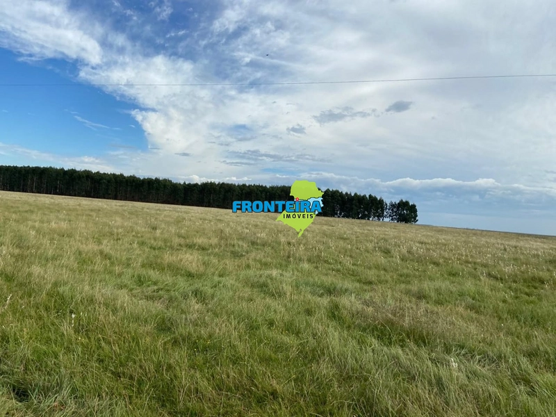 FAZENDA NO URUGUAI: 19ª foto da galeria de imagens do imóvel