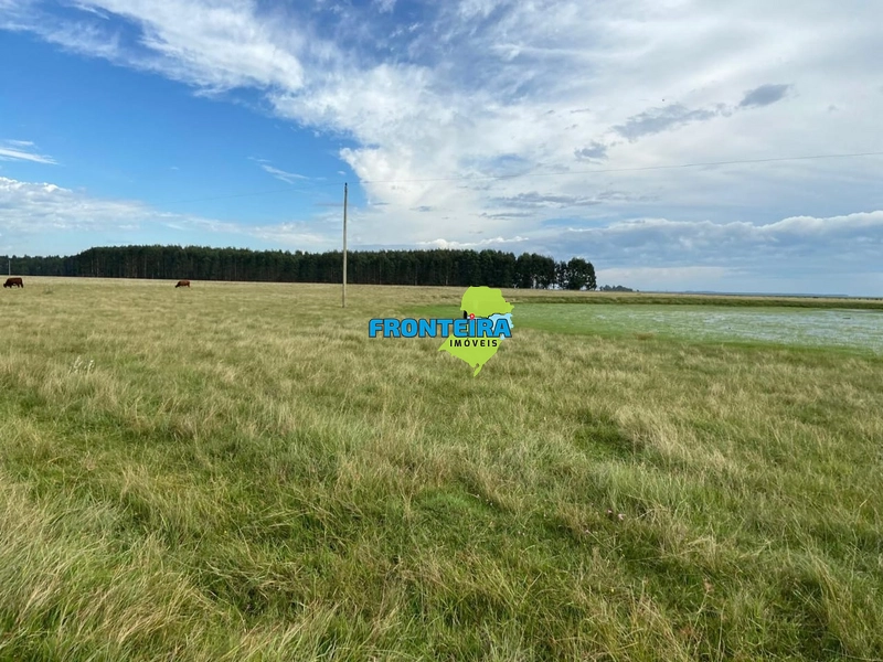 FAZENDA NO URUGUAI: 2ª foto da galeria de imagens do imóvel