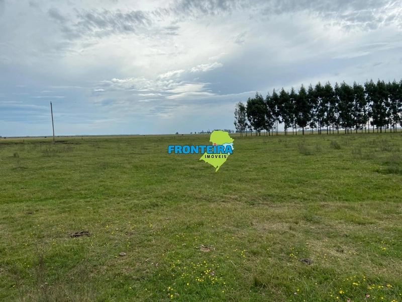 FAZENDA NO URUGUAI: 4ª foto da galeria de imagens do imóvel