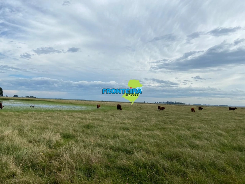 FAZENDA NO URUGUAI: 16ª foto da galeria de imagens do imóvel