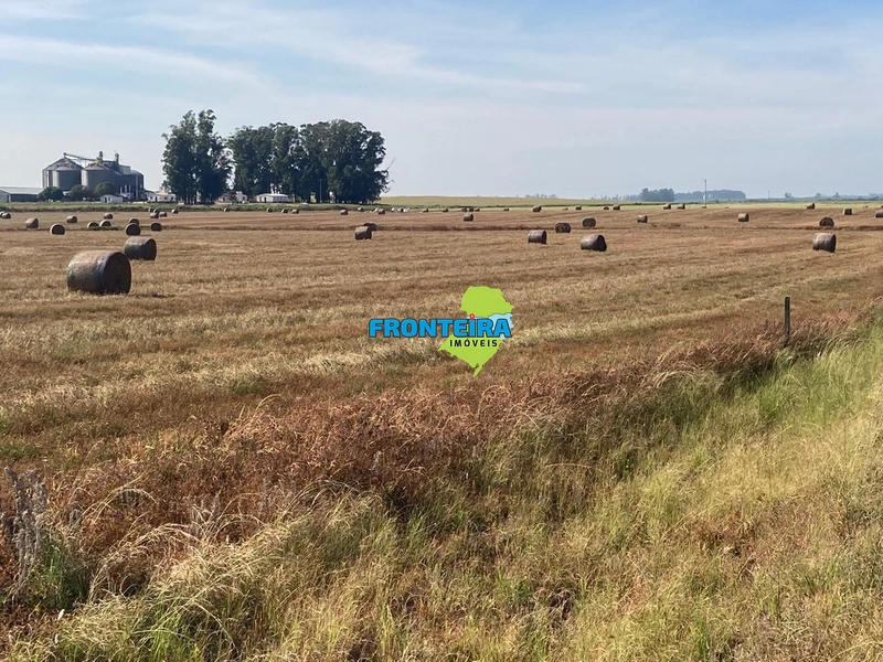 FAZENDA CINEMATOGRÁFICA: 2ª foto da galeria de imagens do imóvel