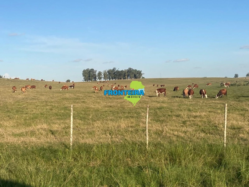 FAZENDA CINEMATOGRÁFICA: 6ª foto da galeria de imagens do imóvel